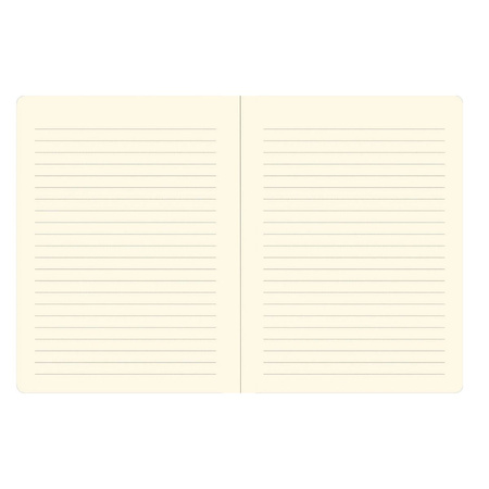 Notatnik Midi Porcelanowe Wazy Peter Pauper Press