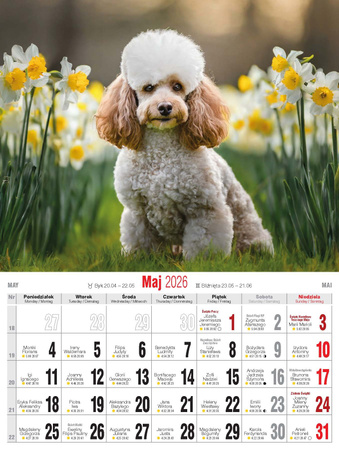 Kalendarz 2026 Psy KSM-3