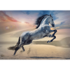 Puzzle 1000 Majestatyczny koń 10790