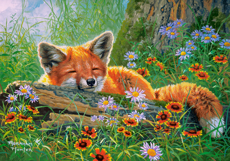 Puzzle 500 Foxy Dreams B-53872