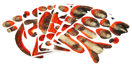 Puzzle 64 3D Dinozaury Welociraptor 111491