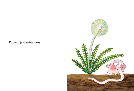 Pomelo jest zakochany