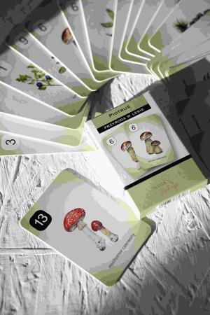 Karty Piotruś Przyroda w lesie