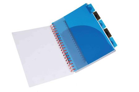 Kołobrulion B5 Disney fashion Mickey 100 kartek 1 szt. mix