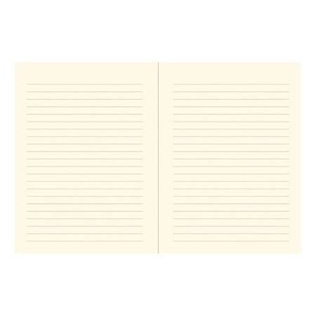 Notatnik duży Księga Królów Peter Pauper Press