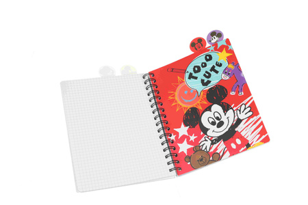 Kołobrulion A5 Disney fashion Minnie 100 kartek 1szt. mix