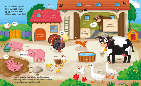 Na wsi. Odkryj i znajdź