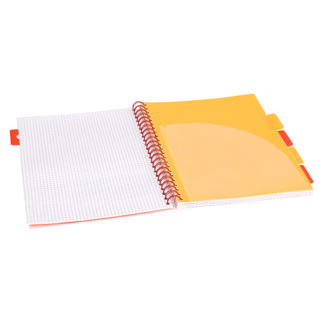 Kołozeszyt Strigo A4 Project Book Pelikan biały kratka