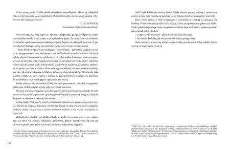 Kamienie na szaniec wyd. 13