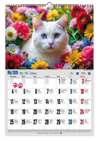 Kalendarz 2026 ścienny  Koci styl A3 V5