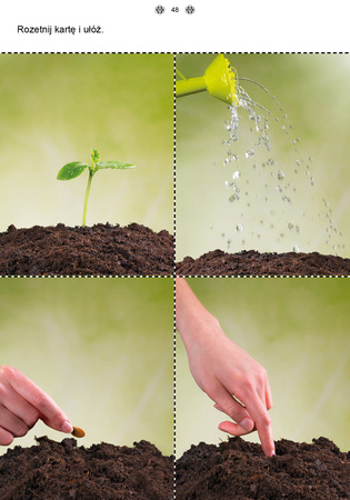 Mój rok część 3 Karty pracy dla uczniów z niepełnosprawnością intelektualną