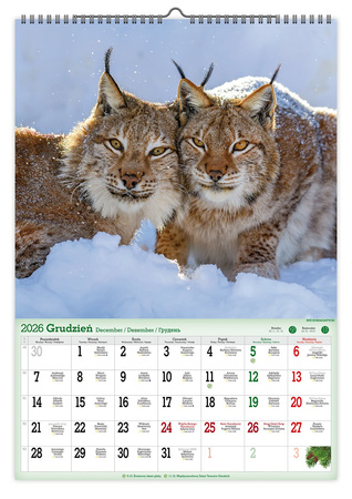 Kalendarz 2026 ścienny Leśne uroczyska A2 V5