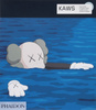 KAWS wer. angielska