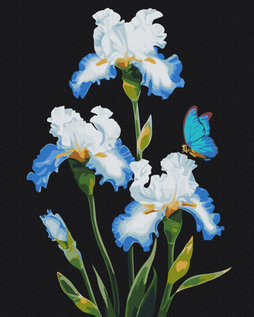 Malowanie po numerach BRUSHME 40x50 cm Irysy