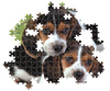 Puzzle 500 Compact Close Together 35536