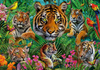 Puzzle 500 Tygrysy w dżungli 112783