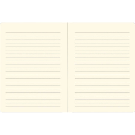 Notatnik A5 Midi Ćma księżycowa Peter Pauper Press