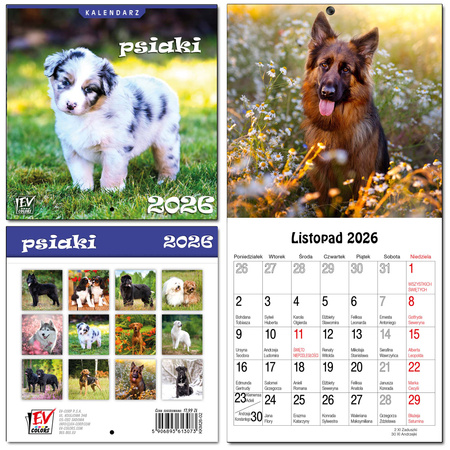 Kalendarz 2026 dla dzieci 13 planszowy Psiaki