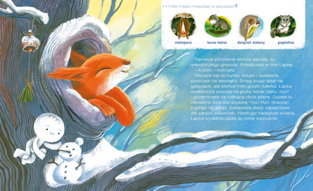 Wiewiórka z lasu. Tuli Tuli opowiada, kto gdzie mieszka