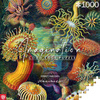 Puzzle 1000 Imagination  Ernst Haeckel Sea Anemones Stworzenia morskie