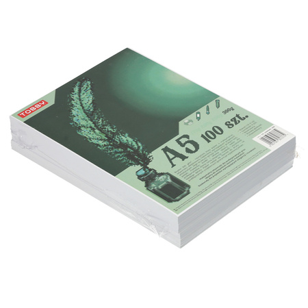 Papier Brystol A5 100 ark. 300g