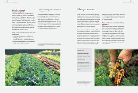 Sekrety ogrodu siostry Christy. Dlaczego rzodkiewki kochają marchewki. Zakonny poradnik ogrodniczy