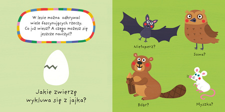 LAS. Mój kolorowy quiz