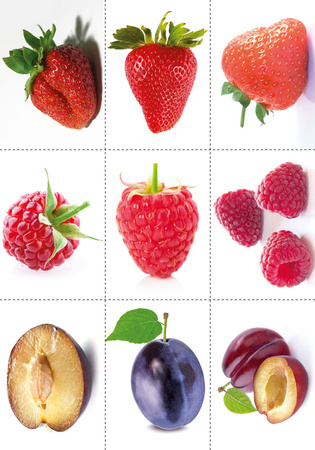 Wskazuję nazywam rozumiem część 1