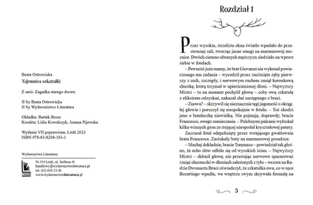 Tajemnica szkatułki. Klub łowców przygód. Zagadka starego dworu. Tom 2 wyd. 7