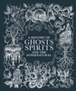 A History of Ghosts Spirits and the Supernatural wer. angielska