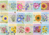 Puzzle 500 Saszetki z nasionami kwiatów 113030