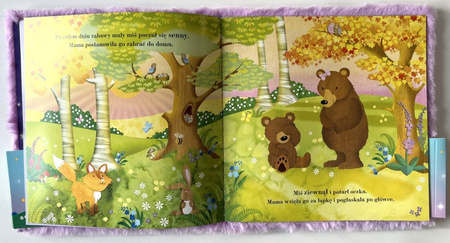 Dobranoc Misiu. Czytanka przytulanka