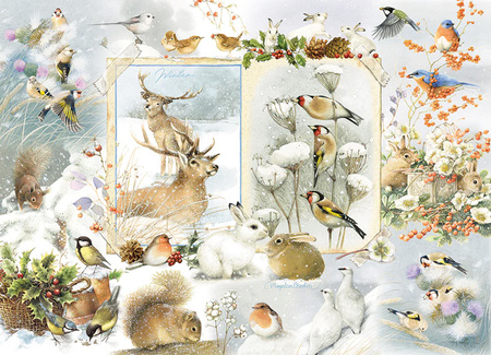 Puzzle 1000 Dziennik przyrodniczy Zima 113520