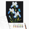 Malowanie po numerach BRUSHME 40x50 cm Irysy
