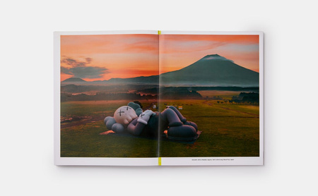 KAWS, WHAT PARTY. Brooklyn Museum wer. angielska