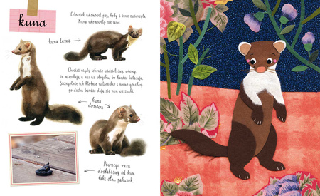 Mały atlas zwierzaków Ewy i Pawła Pawlaków wyd. 2025