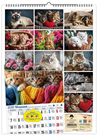 Kalendarz 2026 Koty ścienny KS A4 V3