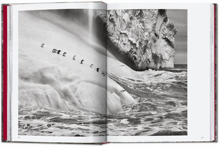 Sebastião Salgado. Genesis wer. angielska