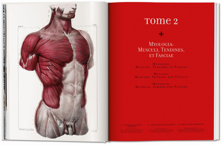 Bourgery. Atlas of Human Anatomy and Surgery wer. angielska