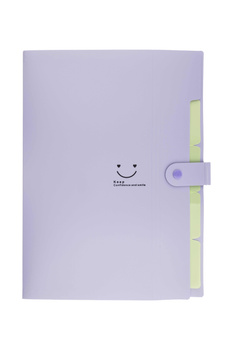 Teczka A4 plastikowa z 5 przegródkami fioletowa