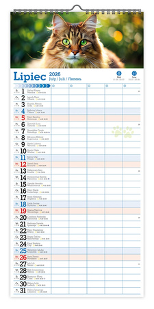 Kalendarz 2026 ścienny paskowy szeroki Koty Kotki Koteczki KPS V6