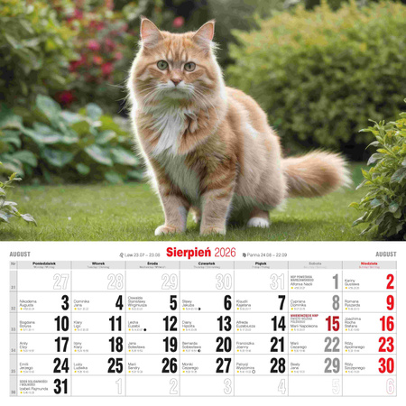 Kalendarz 2026 Koty KD-21