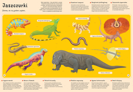 Moje własne zoo. Odkrywamy tajemniczy świat zwierząt