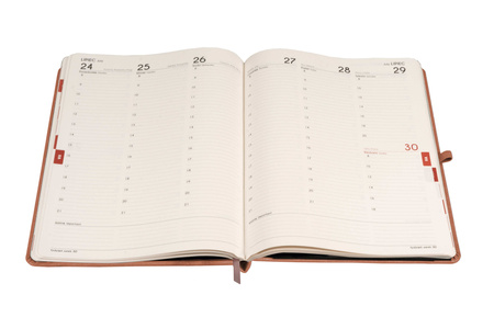 Kalendarz 2026 Sakura A5 TDW miedziany