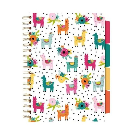 Paczka Kołozeszyt Pukka Pad B5 Project Book Colour Wash 3 szt mix