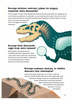 Dinozaury świata. 200 ciekawostek