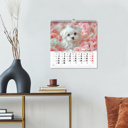 Kalendarz 2026  Przyjaciele kwadrat ścienny