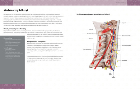 Anatomia urazów sportowych