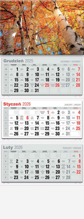 Kalendarz 2026 trójdzielny lux KTL 1szt.mix