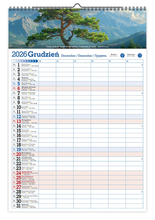 Kalendarz 2026 ścienny Organizer A3 V2